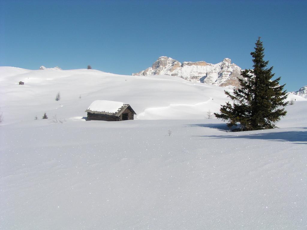 Apartments Residence Alta Badia Colfosco Exterior photo
